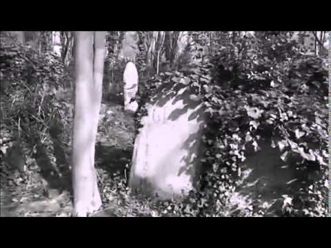 Soul Intact - Pray For Rain