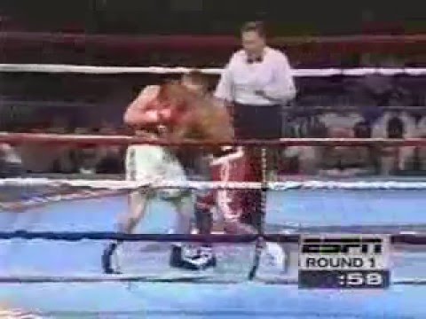Zab Judah fights