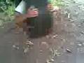videos de camara  giratoria