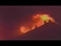 LAFD 