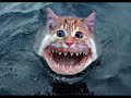 Jaws