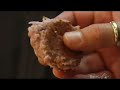 Anthony Bourdain No Reservations LA Thaitown - Noodle Whore