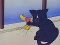 Sailor Moon 28 ~ Das Selbstportrait ~ deutsch Teil 1/2