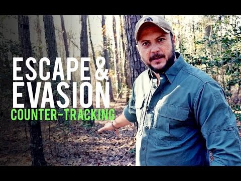 Escape and Evasion: Large Tree Deception (Improvised) Escape and Evasion: Large Tree Deception (Improvised)