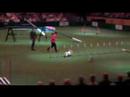 Eukanuba Mini Agility Challenge Part 2 - 1 Eukanuba Mini Agility Challenge Part 2 - 1
