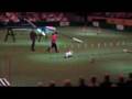 Eukanuba Mini Agility Challenge Part 2 - 1