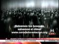 GREENPEACE LANZA NUEVA CAMPAÑA JUNTO CON EL MUNDIAL