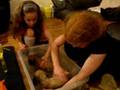 Day 47 Abbys Pups, Lilly & Holly have a bath