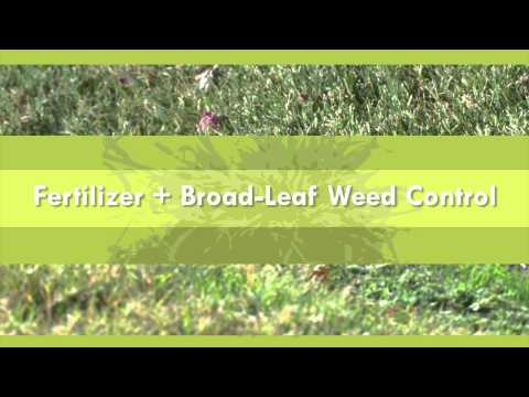 how to fertilize properly