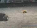 Pleo vs. ComBot