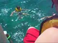 Bahamas Boat Jump/Roll
