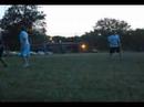 King Cheetah vs. Secchi Disc King Cheetah vs. Secchi Disc