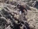 Finding a Gold Nugget in New Zealand Finding a Gold Nugget in New Zealand