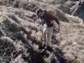 Finding a Gold Nugget in New Zealand