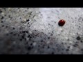 Thumbnail #3