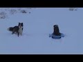 See Video