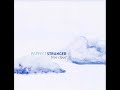 Perfect Stranger - Sweet Water Dolphin
