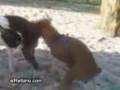 Perro autosuficiente