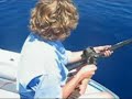 first marlin video