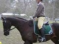 Country Road - aka Bobby at a Gymkhana