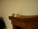 Mimi and the Headboard Slide