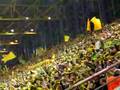 BVB -Südtribüne-you`ll never walk alone