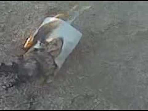 BMX BIKES TRICKS STUNTS CRASHES