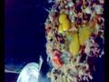 How to make madras egg parota vinmathi chettinaddu hotel velechery