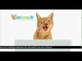 Lelynx.fr, Comparateur D assurances - Pub Tv [city] [10 Secs]