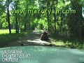 Steve the Lawn Mower Man gets pulled over for driving drunk down the road on a lawn mower, then tries to drive away, followed by taser.