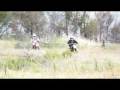 videos de Green Point Illegal bikers