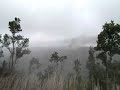 Ash plume at Kilauea