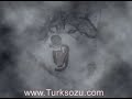THE TURKS  ( HUN )  TÜRKLER