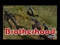 Lineage2 PVP Brotherhood vol.2