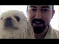 My dog Pepe Q-tip