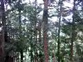 satoyama satoyama