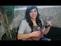 New Perspective Panic! At The Disco Uke