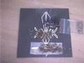 videos de a joint rolling itself