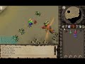 Soccerdies Almost Solo the Kalphite Queen in One Trip