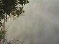 The Victoria Falls