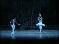 videos de Anette Delgado - Ballet Nacional de Cuba - Swan Lake - 3