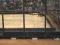 videos de Ouch vs. Shovelhead - RG05