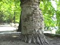 morska vhod