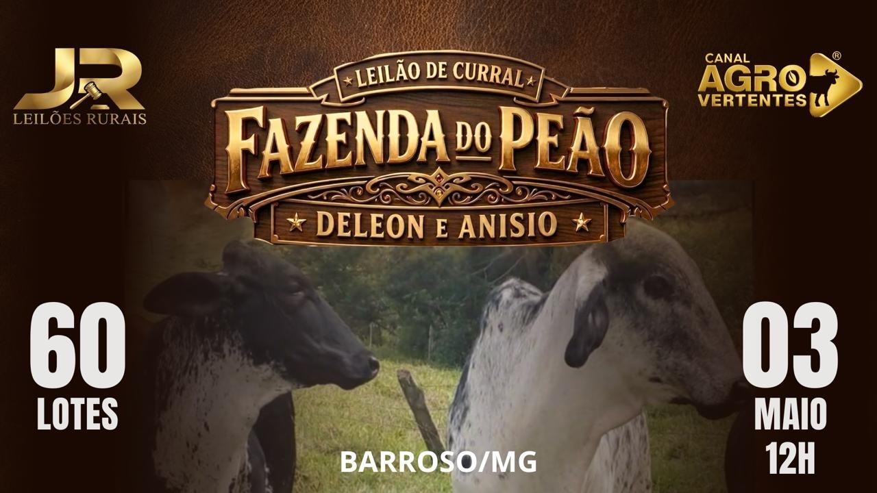 3º LEILÃO FAZENDA DO PEÃO - DELEON & ANÍSIO FREITAS - BARROSO/MG - 03/05/2026