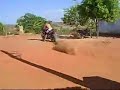 suzuk