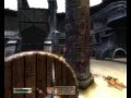 The Elder Scrolls IV: Oblivion - Arena Fight 02