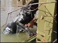 Timber Guides Duck Hunting