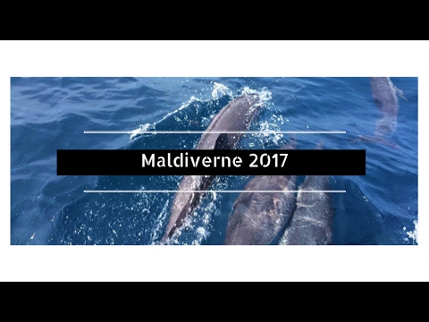 Min rejse til Maldiverne