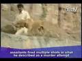 videos de TnnTV World News_pakistan_gilani