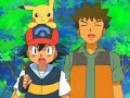 Dear  Pokemon- Ash & Misty Pokeshipping satoshi kasumi